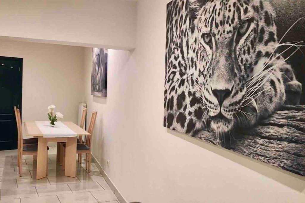 Bel Appartement Confortable Монс Екстериор снимка